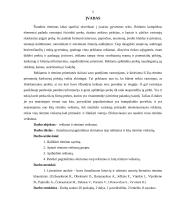 Skirtumų analizė tarp reklamos ir kitų rėmimo veiksmų 5 puslapis