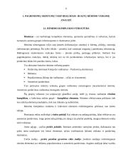 Skirtumų analizė tarp reklamos ir kitų rėmimo veiksmų 6 puslapis