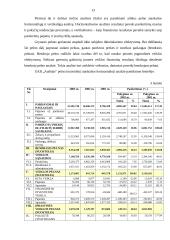 Skolininko finansinė analizė 13 puslapis
