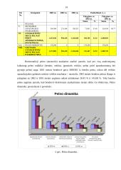 Skolininko finansinė analizė 14 puslapis