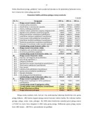 Skolininko finansinė analizė 17 puslapis