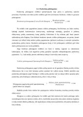 Skolininko finansinė analizė 19 puslapis