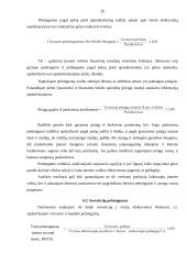 Skolininko finansinė analizė 20 puslapis