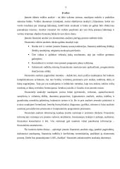 Skolininko finansinė analizė 3 puslapis