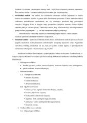 Skolininko finansinė analizė 5 puslapis