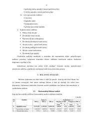 Skolininko finansinė analizė 6 puslapis