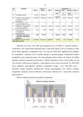 Skolininko finansinė analizė 8 puslapis