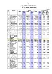 Skolininko finansinė analizė 9 puslapis