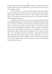 Lietuvos gyvenimo rodikliai bei skurdas Lietuvoje 17 puslapis