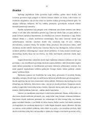 Lietuvos gyvenimo rodikliai bei skurdas Lietuvoje 18 puslapis