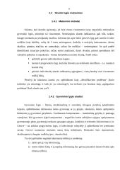 Skurdo matavimo būdai Lietuvoje ir pasaulyje 6 puslapis