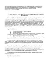 Smulkaus ir vidutinio verslo finansavimo šaltiniai 19 puslapis