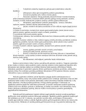Smulkaus ir vidutinio verslo finansavimo šaltiniai 9 puslapis