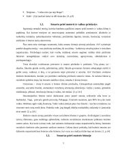 Smurtas šeimoje prieš moteris ir vaikus 5 puslapis