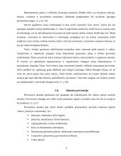 Smurtas šeimoje prieš moteris ir vaikus 9 puslapis