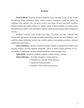Socialinė nelygybė ir skurdas Lietuvoje 2 puslapis