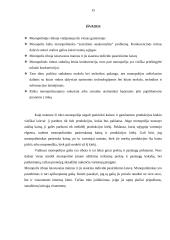Socialinės ir ekonominės monopolijos pasekmės 16 puslapis
