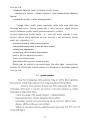Socialinės reklamos ypatumai ir naudojimas Lietuvoje 10 puslapis
