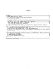 Socialinio darbuotojo veikla su agresyvaus elgesio vaikais ugdymo institucijoje 2 puslapis