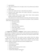 Socialinio darbuotojo veikla su agresyvaus elgesio vaikais ugdymo institucijoje 17 puslapis