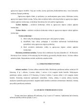 Socialinio darbuotojo veikla su agresyvaus elgesio vaikais ugdymo institucijoje 19 puslapis