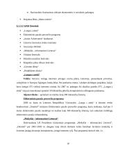Socialinio marketingo ypatumai įvairiuose verslo sektoriuose 17 puslapis