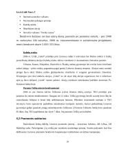 Socialinio marketingo ypatumai įvairiuose verslo sektoriuose 18 puslapis