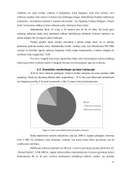 Socialinio marketingo sprendimai mažinant mobiliųjų telefonų poveikį sveikatai 17 puslapis