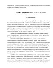 Socialinio pedagogo darbas su šeima 3 puslapis