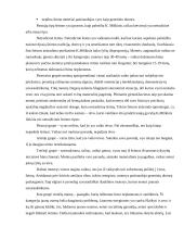 Socialinio pedagogo darbas su šeima 8 puslapis