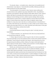 Socialinio pedagogo darbas su šeima 10 puslapis