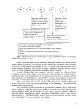 Socialinis draudimas Lietuvoje 18 puslapis
