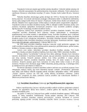 Socialinis draudimas Lietuvoje 5 puslapis