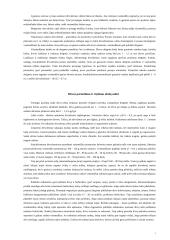 Sodo projektas 5 puslapis