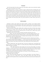 Sodo projektas 7 puslapis