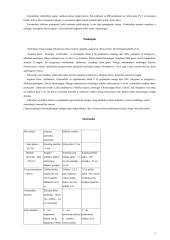 Sodo projektas 8 puslapis