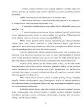 Specialios PVM (pridėtinės vertės mokesčio) apmokestinimo schemos 11 puslapis