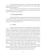 Specialios PVM (pridėtinės vertės mokesčio) apmokestinimo schemos 13 puslapis