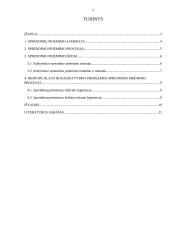 Sprendimų priėmimo procesas ir metodai 2 puslapis