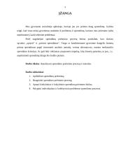 Sprendimų priėmimo procesas ir metodai 3 puslapis