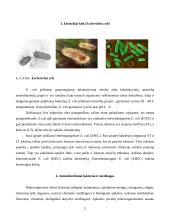 Stafilokokų ir e coli atsparumo priežastys antimikrobinėms medžiagoms 5 puslapis