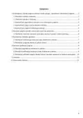 Standartizavimas ir techniniai matavimai 2 puslapis