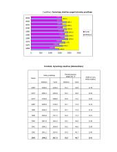 Statistinė gyventojų analizė 12 puslapis