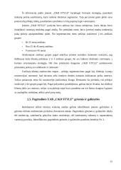 Strateginė analizė ir planavimas: prekyba natūralia kosmetika ir dovanomis UAB "C&D Style" 12 puslapis