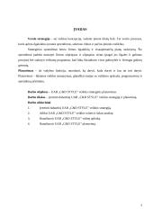 Strateginė analizė ir planavimas: prekyba natūralia kosmetika ir dovanomis UAB "C&D Style" 3 puslapis