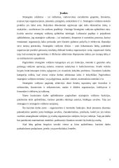 Strateginio valdymo funkcijos 2 puslapis