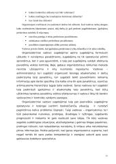 Strateginio valdymo funkcijos 11 puslapis