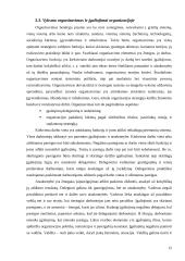 Strateginio valdymo funkcijos 12 puslapis