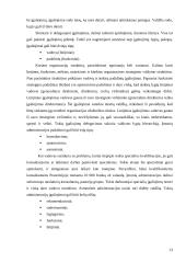Strateginio valdymo funkcijos 13 puslapis