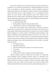 Strateginio valdymo funkcijos 14 puslapis